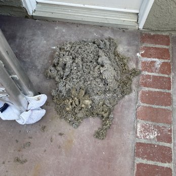 My Way Services - Lint - Carpet Cleaning Near Me - Los Angeles, California