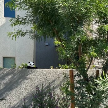 Keystone Carpet Care - Carpet Cleaning Near Me - Henderson, Nevada Keystone Carpet Care - Carpet Cleaning Near Me - Henderson, Nevada