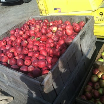 Orchard Hill Cider Mill - Cart o' fresh picked apples - Cideries Near Me - New Hampton, New York Orchard Hill Cider Mill - Cart o' fresh picked apples - Cideries Near Me - New Hampton, New York