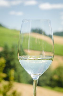 WillaKenzie Estate by null