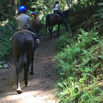 Redwood Trails Horseback Rides - The kids rocked it!!! - Parks Near Me - Orick, California Redwood Trails Horseback Rides - The kids rocked it!!! - Parks Near Me - Orick, California