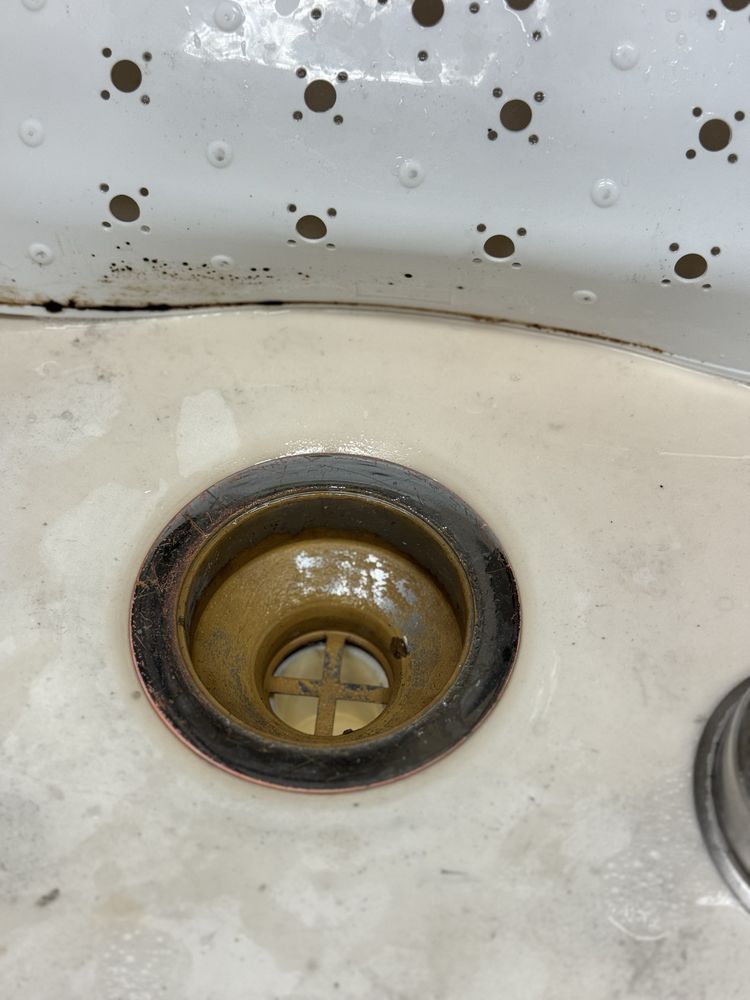 Slide of Root Busters