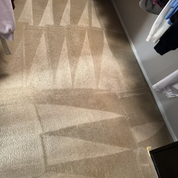 Stellar Carpet Cleaning - Pet stains and odors removed! - Carpet Cleaning Near Me Stellar Carpet Cleaning - Pet stains and odors removed! - Carpet Cleaning Near Me