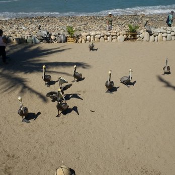 Malecón Puerto Vallarta - Beaches Near Me - Puerto Vallarta, JAL