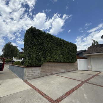 The Crew Tree Services - Tree Services Near Me - Santa Ana, California The Crew Tree Services - Tree Services Near Me - Santa Ana, California