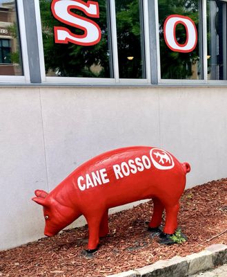 Cane Rosso by null