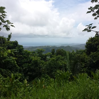 El Yunque Rainforest - Hiking Near Me - Luquillo, Puerto Rico El Yunque Rainforest - Hiking Near Me - Luquillo, Puerto Rico