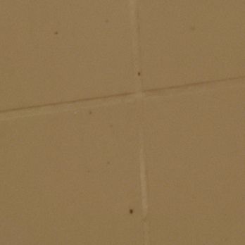 Red Roof Inn Clearfield - Dirty brown bits stuck to shower walls. No shower for me! - Hotels Near Me - Clearfield, Pennsylvania Red Roof Inn Clearfield - Dirty brown bits stuck to shower walls. No shower for me! - Hotels Near Me - Clearfield, Pennsylvania