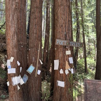 Henry Miller Memorial Library - haha get it - Bookstores Near Me - Big Sur, California