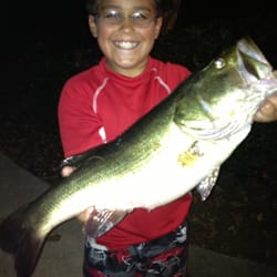 Shans Bait & Tackle - Bay