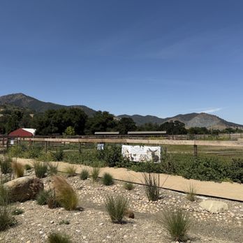 Clayton Valley Farms - Stardust animal rescue within Clayton Valley Farms - Kids Activities Near Me - Clayton, California