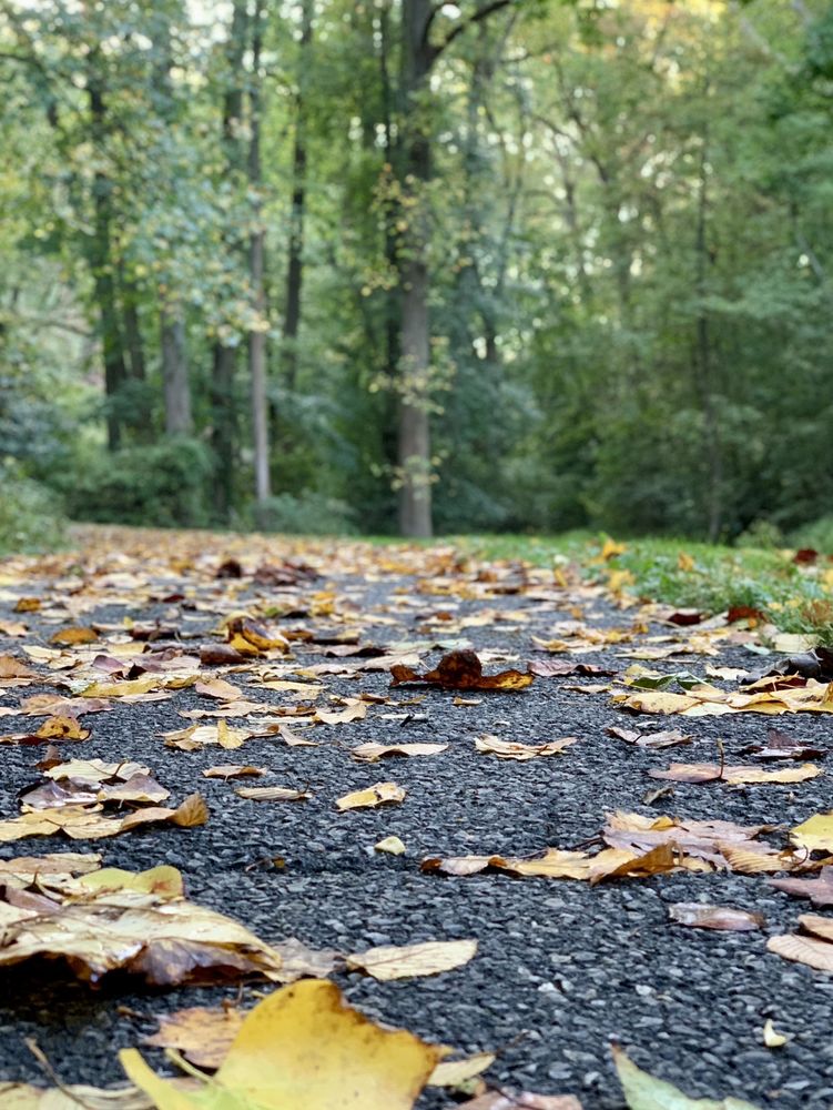 VALLEY GARDEN PARK Updated October 2024 45 Photos 52 Campbell Rd