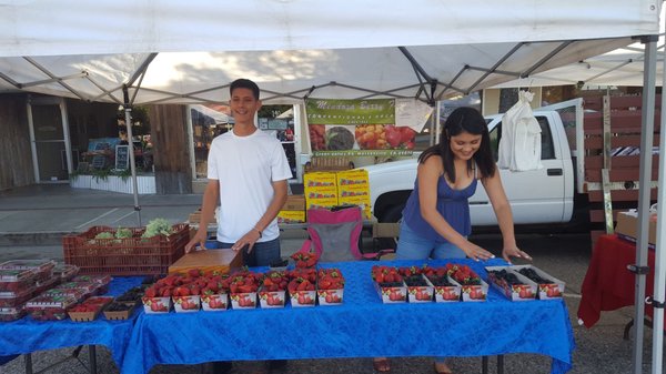 Oakdale Morning Market by null