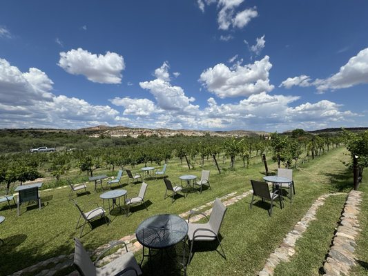 Alcantara Vineyards and Winery by null