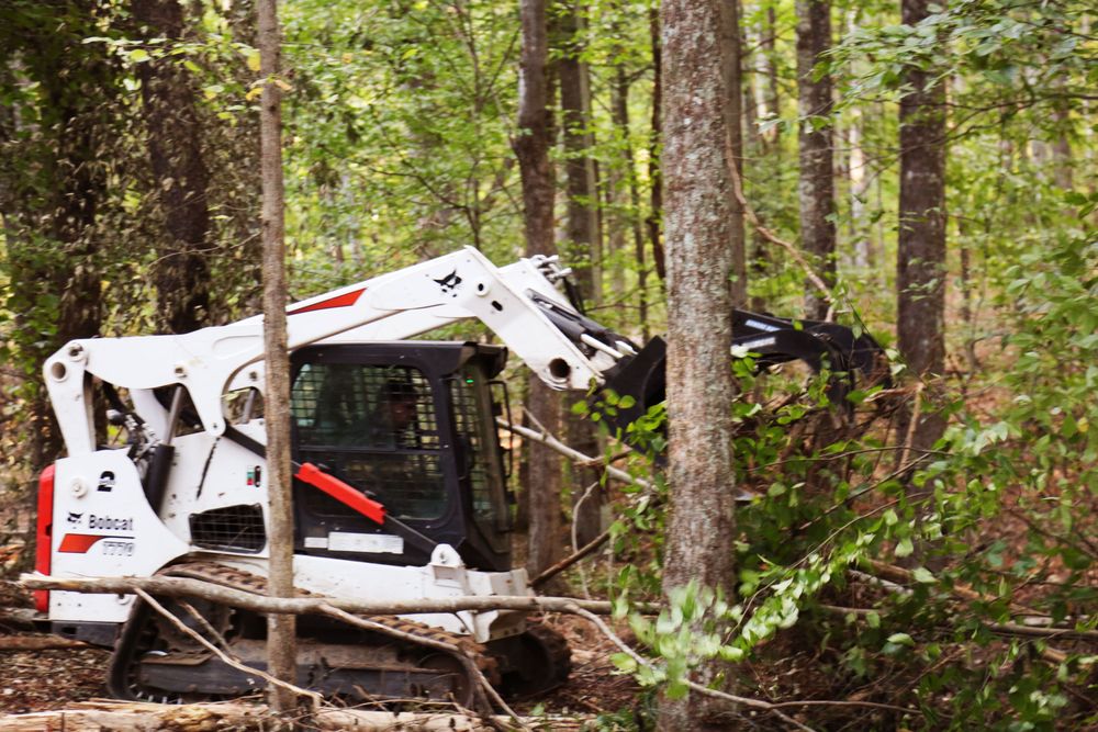 Quick Clear Land Solutions - tree service in Knoxville, TN
