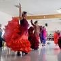 Photo of Espacio Flamenco
