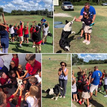 JOHN K9 - Pet Training Near Me - Lakeland, Florida
