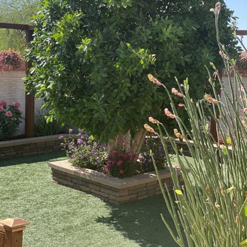 Moon Valley Nurseries - Nurseries & Gardening Near Me - Chandler, Arizona Moon Valley Nurseries - Nurseries & Gardening Near Me - Chandler, Arizona