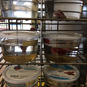 Petco - This isn't even all of them. There was no clean bowls. - Pet Stores Near Me - Concord, California Petco - This isn't even all of them. There was no clean bowls. - Pet Stores Near Me - Concord, California