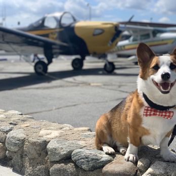 Maniac-Mikes Cafe - I mean who wouldn't love this atmosphere! Dog friendly patio - New American Near Me - Upland, California Maniac-Mikes Cafe - I mean who wouldn't love this atmosphere! Dog friendly patio - New American Near Me - Upland, California