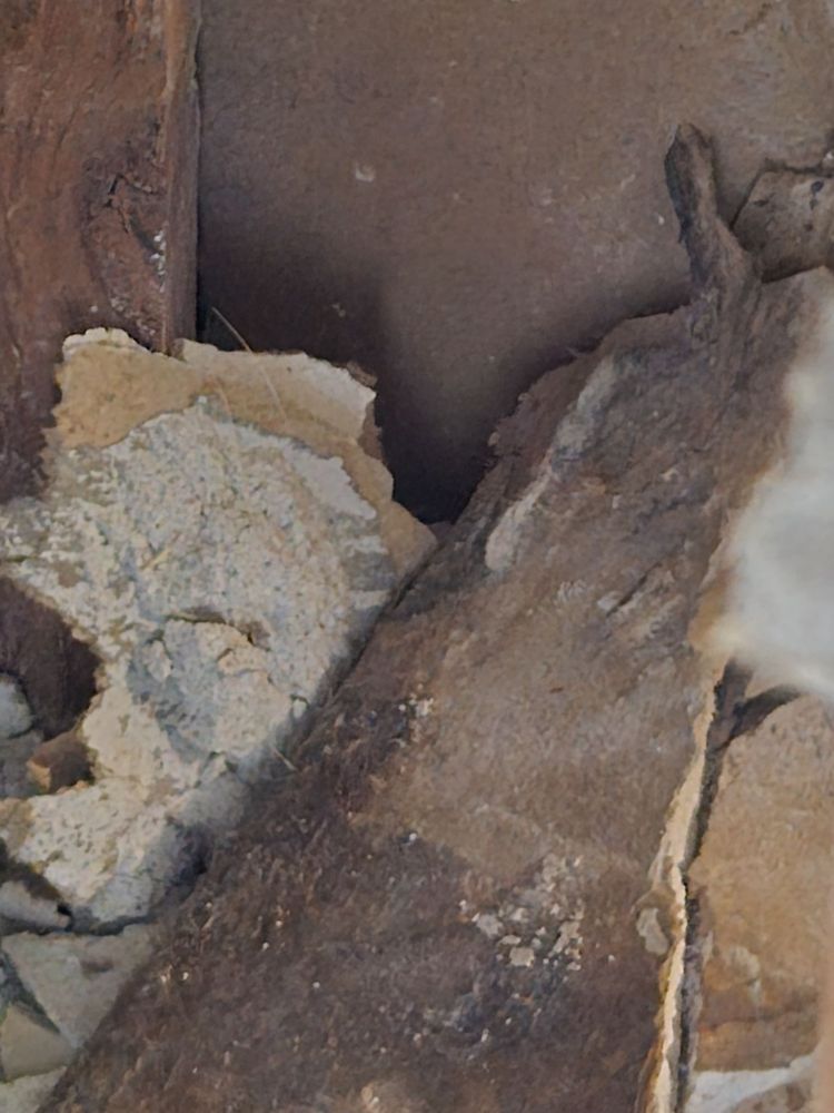 Slide of Action Plumbing Heating Air Conditioning and Electric