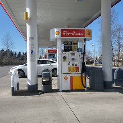 Jacksons Shell