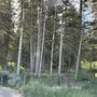 Howard Springs Picnic Site