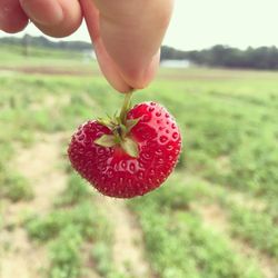 Graver's Orchards