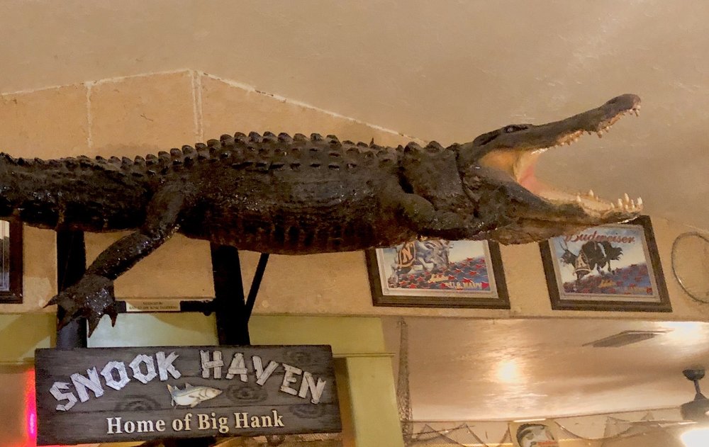 Snook Haven, Venice Roadtrippers