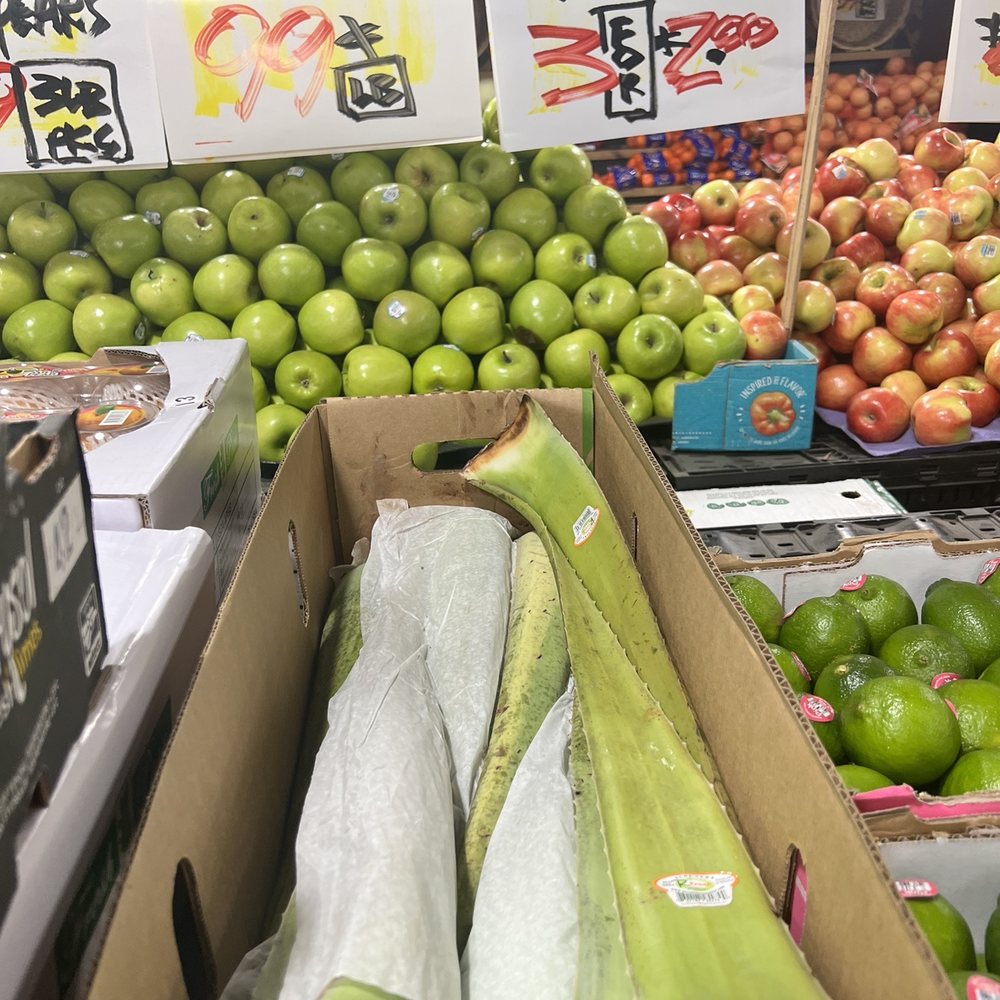 Fresh Aloe