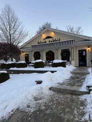 Black Rabbit by null