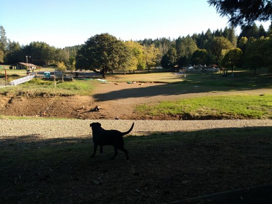 Baker Bay Park by null