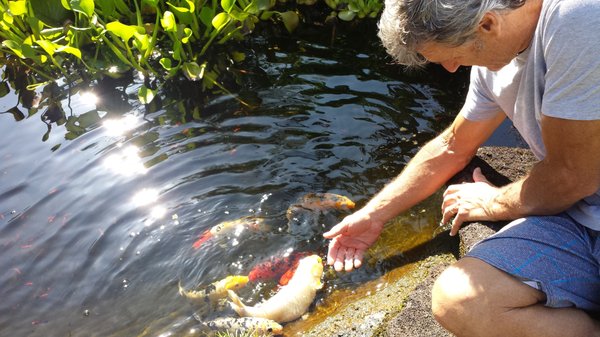 Orchid Tree Bed & Breakfast by null