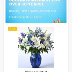 Raeford Flowers & Gifts - Advertised Arrangement from Blossom Flower Delivery I