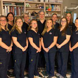 Commonwealth Animal Hospital - Staff photo