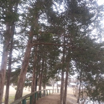 Cooper Park - Trees on the small trail, next to the duck pond. - Parks Near Me - Mountain Home, Arkansas