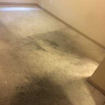 Michael's Carpet Cleaning - Before - Carpet Cleaning Near Me Michael's Carpet Cleaning - Before - Carpet Cleaning Near Me