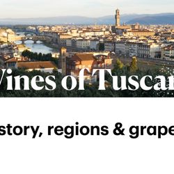 Italian Wine Institute