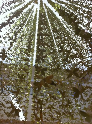 Neiman Marcus by null