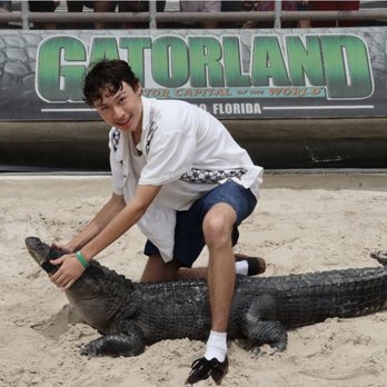 Gatorland - Wrestling the gator - Zoos Near Me - Orlando, Florida Gatorland - Wrestling the gator - Zoos Near Me - Orlando, Florida