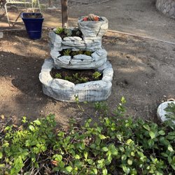 Dove Day School - the landscaping and cute walk ways