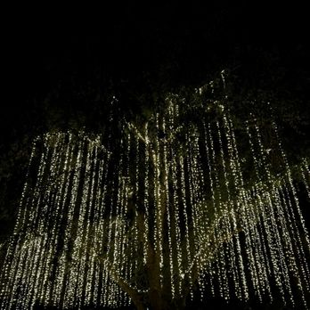 Lavender Nights - Festivals Near Me - Cherry Valley, California