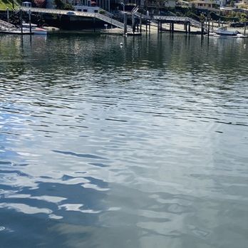 Argosy Cruises - Seattle - Boat Charters Near Me - Seattle, Washington Argosy Cruises - Seattle - Boat Charters Near Me - Seattle, Washington
