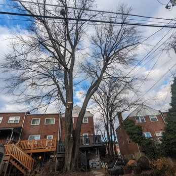 JC Landscaping - After - Landscaping Near Me