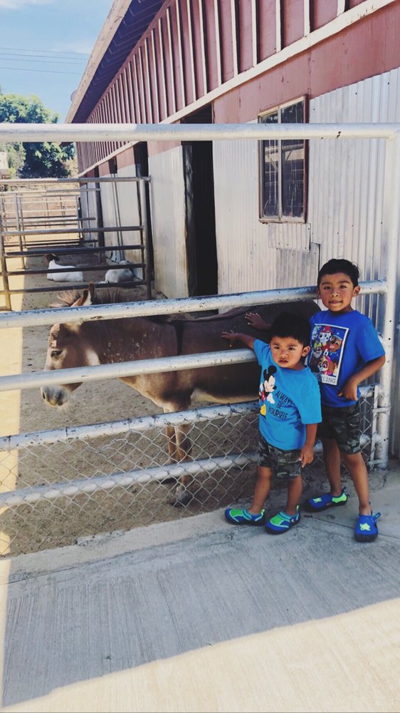 AGUIRRE & MEDRANO FAMILY CHILD CARE 53 Photos & 14 Reviews Child