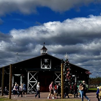 Southern Hill Farms - Barn - Fruits & Veggies Near Me - Clermont, Florida Southern Hill Farms - Barn - Fruits & Veggies Near Me - Clermont, Florida