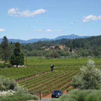Bella Vineyards & Wine Caves - Wineries Near Me - Healdsburg, California Bella Vineyards & Wine Caves - Wineries Near Me - Healdsburg, California