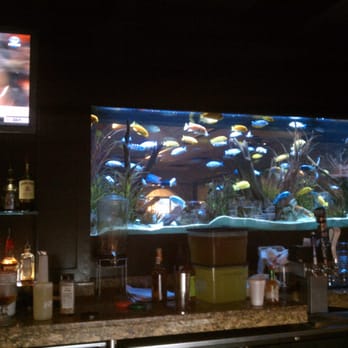 Cheddar's Scratch Kitchen - cool fish tank - American Near Me - Jonesboro, Arkansas
