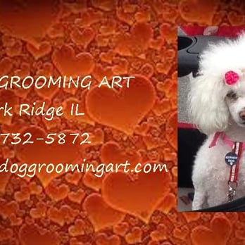 Dog Grooming Art - Pet Groomers Near Me - Park Ridge, Illinois Dog Grooming Art - Pet Groomers Near Me - Park Ridge, Illinois
