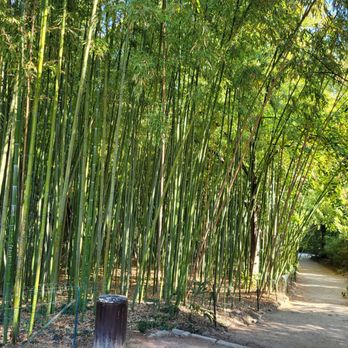 Jardins des Plantes - Parks Near Me - Montpellier, 34 Jardins des Plantes - Parks Near Me - Montpellier, 34